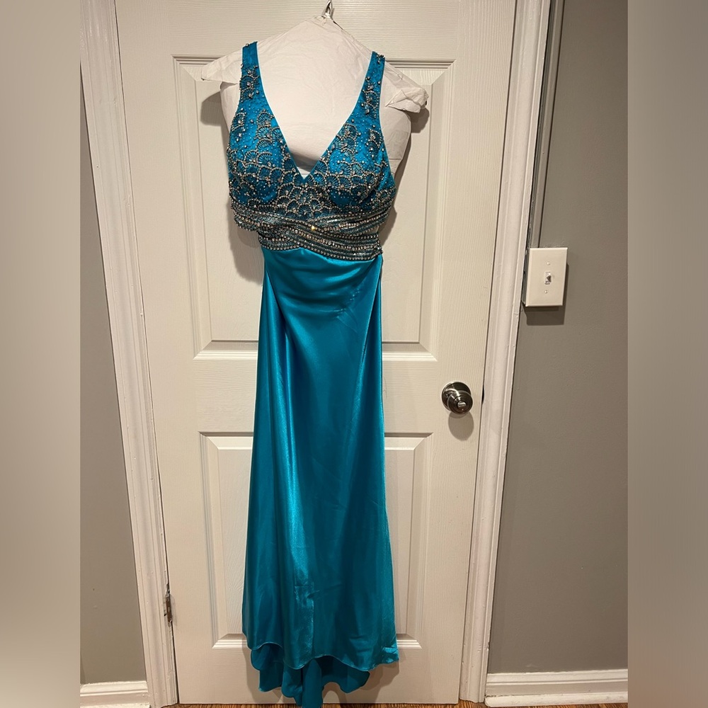 Gorgeous Terani Dress